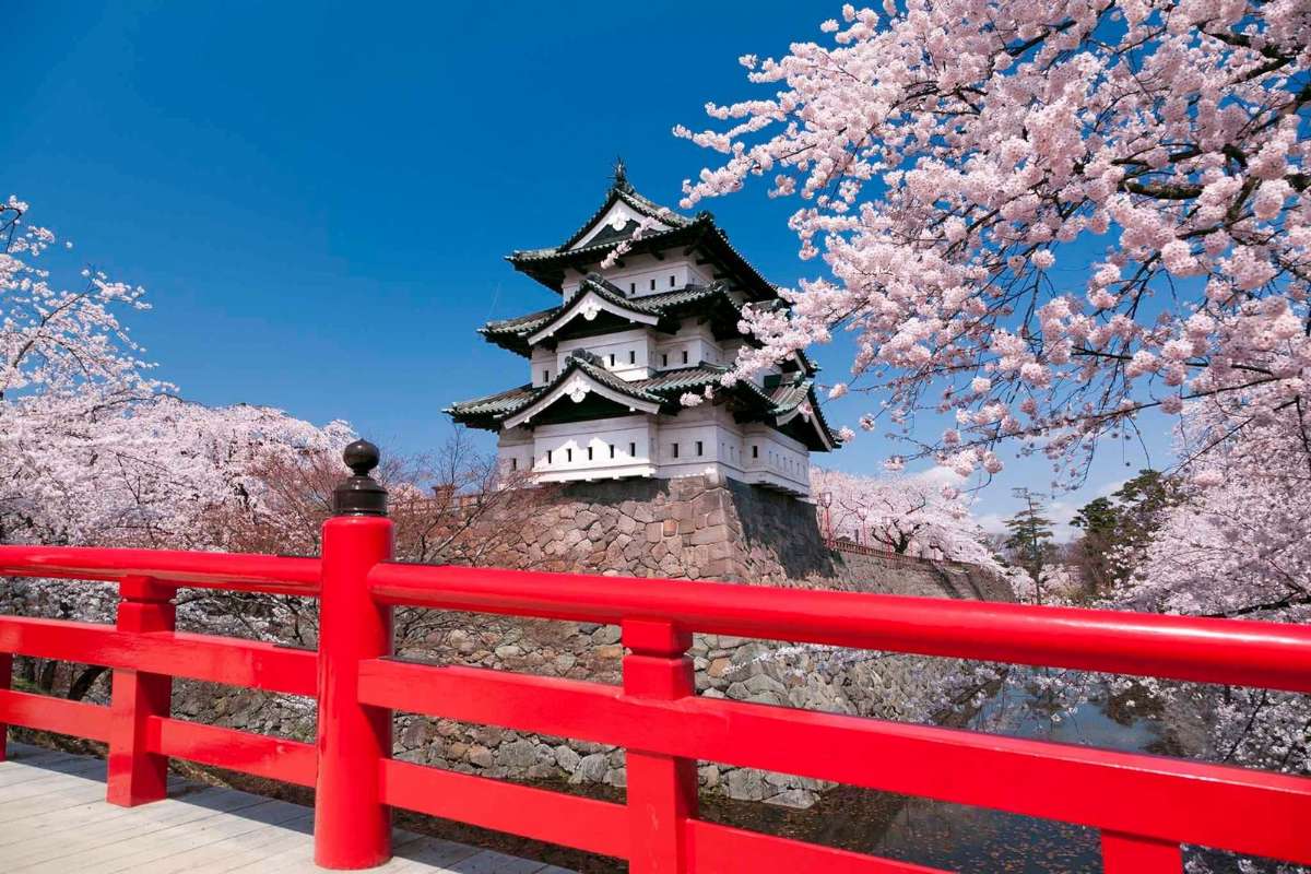 14/05 a 27/05 Japão